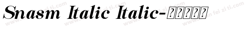 Snasm Italic Italic字体转换